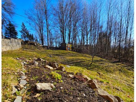 property_photo/351/351-17455756146279.jpg